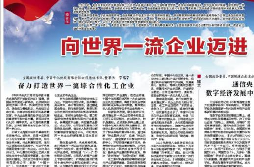 奮力打造世界一流綜合性化工企業(yè)
