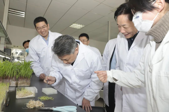 王舸調研公司部分駐皖企業(yè)